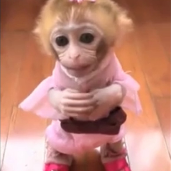 Meet your Posher, Sue - Picture 1 of 1